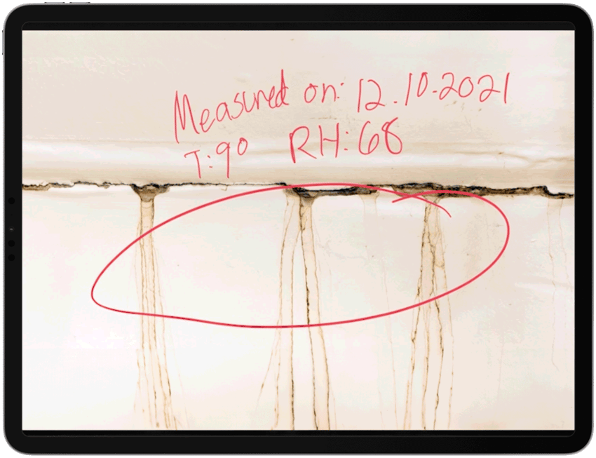 Markup of photo on an ipad of wall with mold and water category with the date on when the moisture reading was takes and the temperature and relative humidity