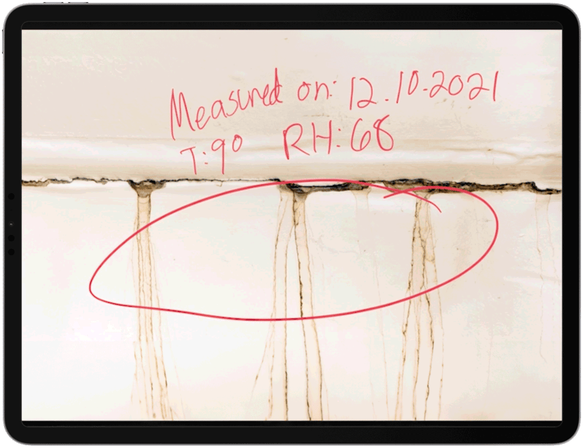 Markup of photo on an ipad of wall with mold and water category with the date on when the moisture reading was takes and the temperature and relative humidity